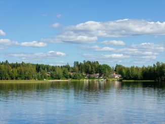 Vattnet som naturens livsnerv illustration